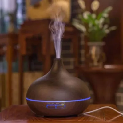 Camera wifi nguỵ trang đèn các loại